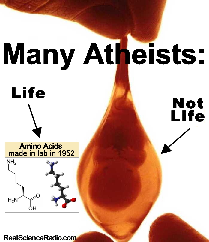 Graphic showing tear-drop fetus and a molecule of acid with text: Many atheists say the acid is life, but the baby is not.